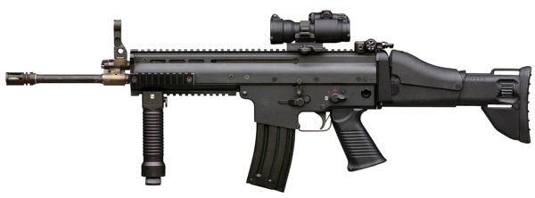 scar_l-1.jpg