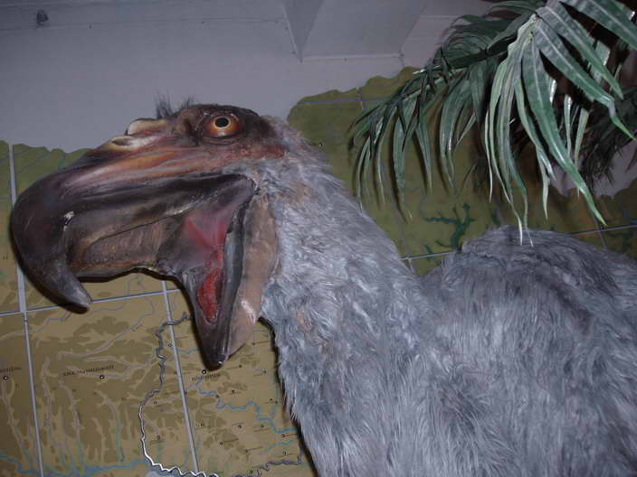 4.JPG