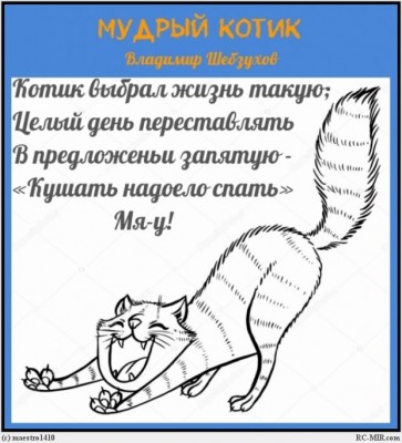 МУДРЫЙ котик-МАЭСТРОgif.jpg
